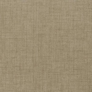 Gạch lát sàn Trường Thịnh TEXTILE BE66195